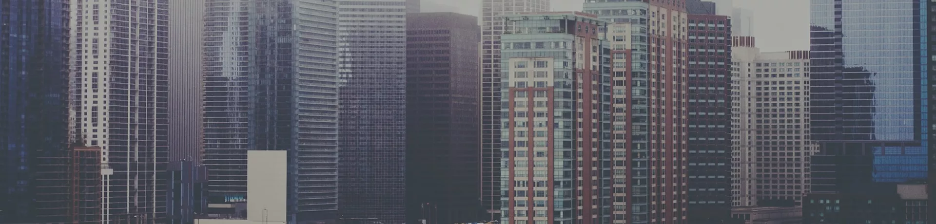 Financial highlights